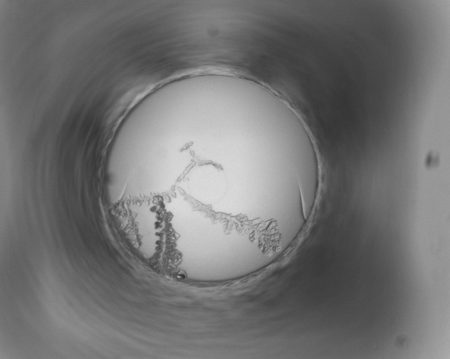 X0000113220001200910221135