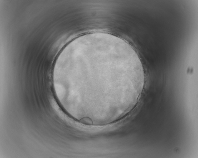 X0000113220002200910221135
