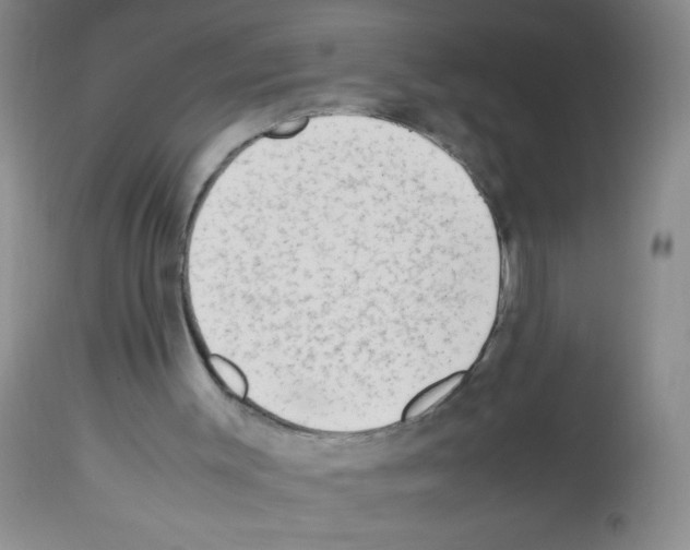 X0000113220003200910221135