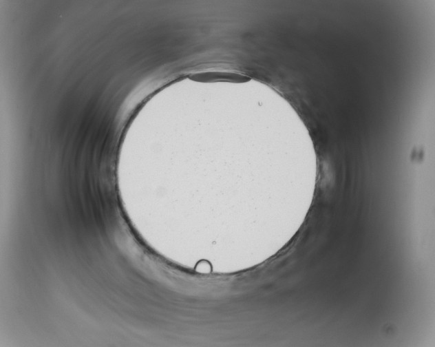 X0000113220004200910221135
