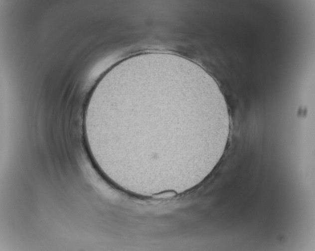 X0000113220005200910221135
