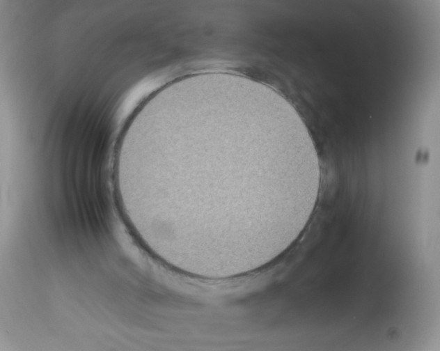 X0000113220006200910221135