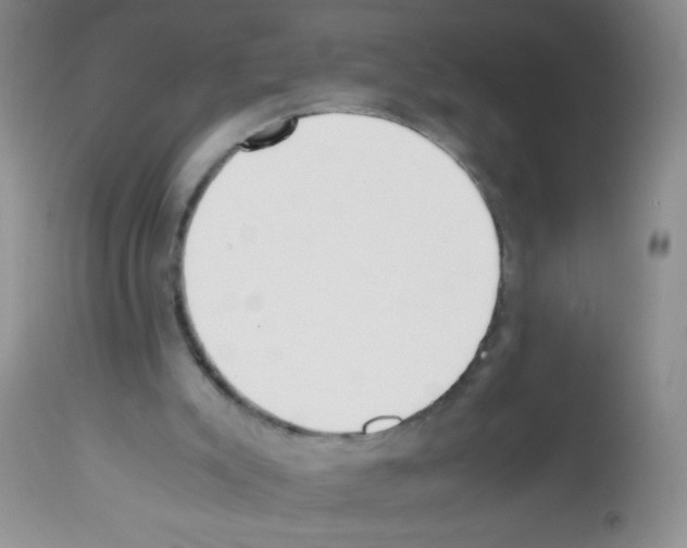 X0000113220007200910221135