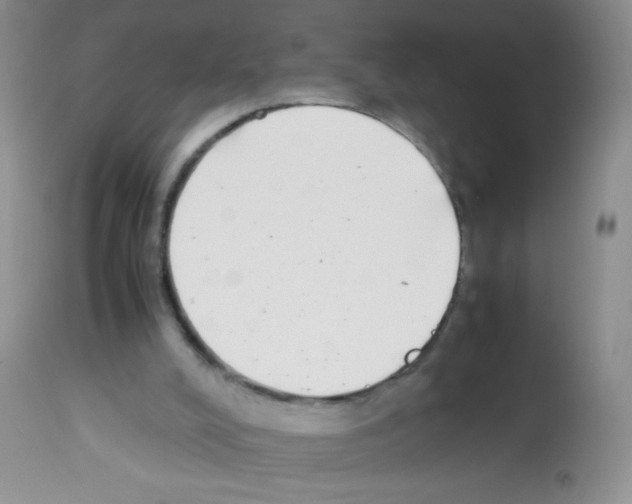X0000113220008200910221135