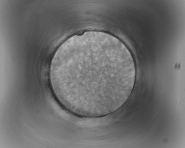 X0000113220009200910221135