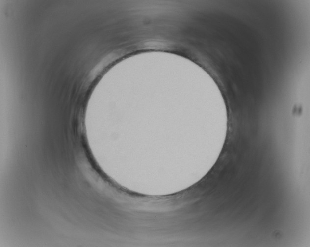 X0000113220011200910221134