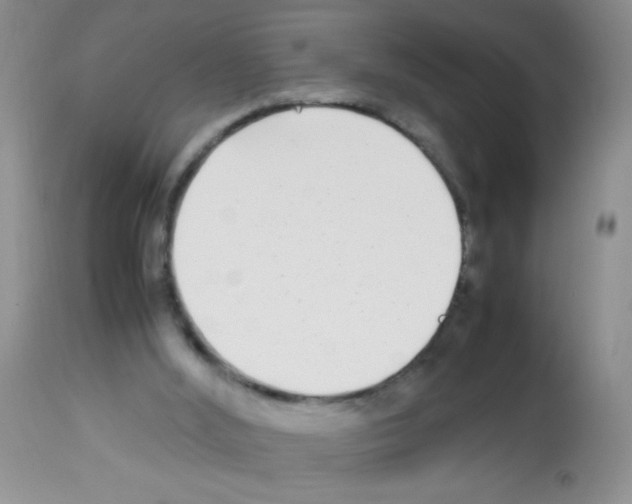X0000113220012200910221134