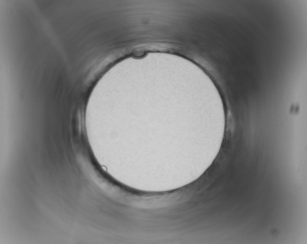 X0000113220013200910221134