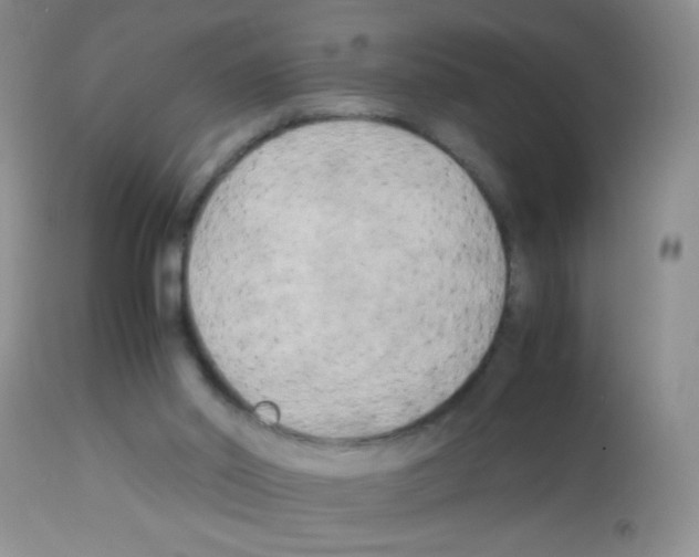 X0000113220014200910221134