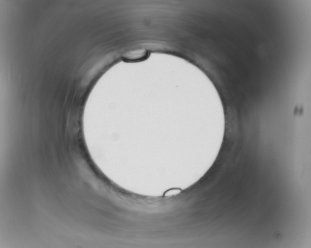 X0000113220015200910221134