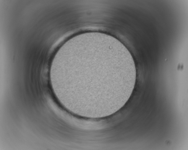X0000113220016200910221134