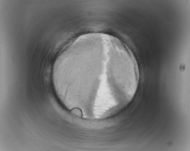 X0000113220018200910221134