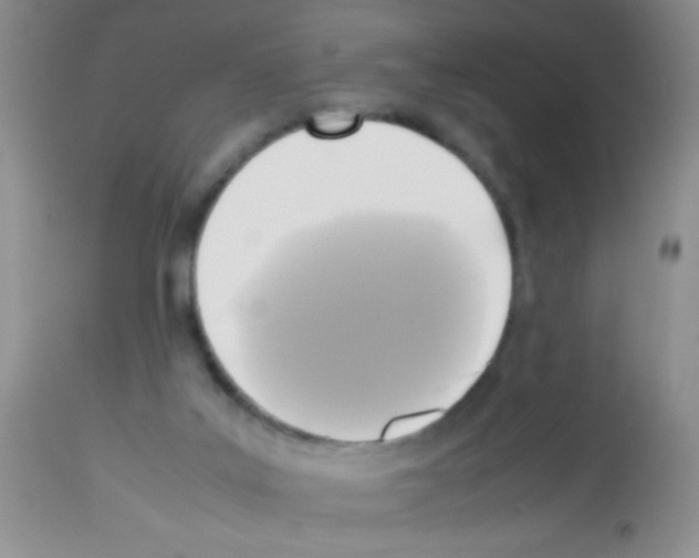 X0000113220019200910221134