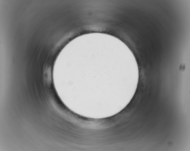 X0000113220020200910221134