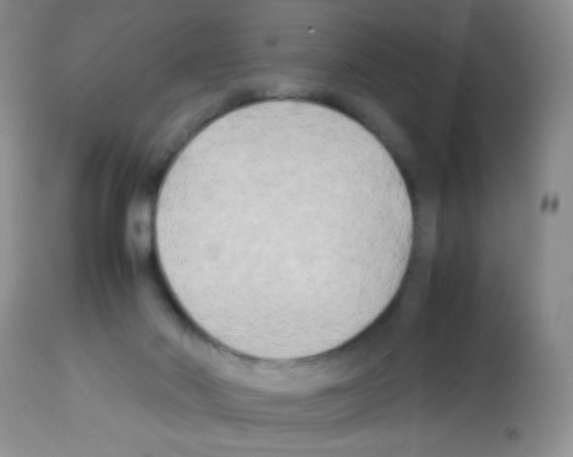 X0000113220022200910221134