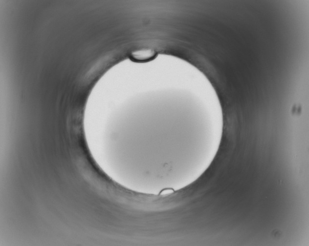 X0000113220023200910221134