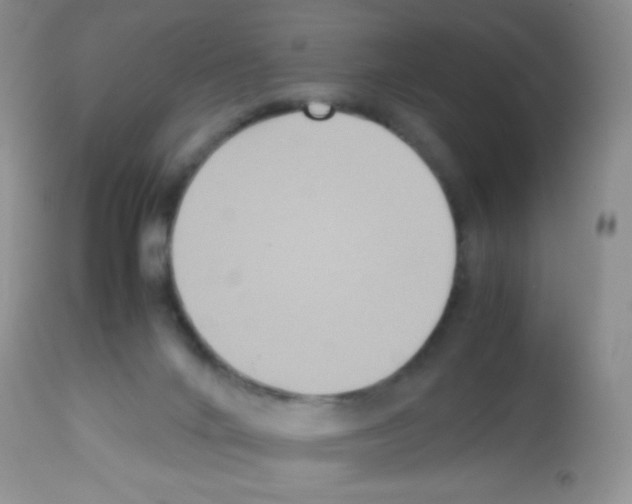 X0000113220024200910221134