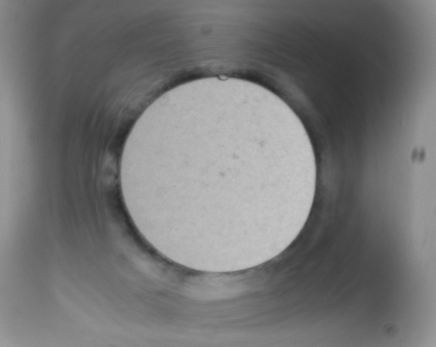 X0000113220025200910221134