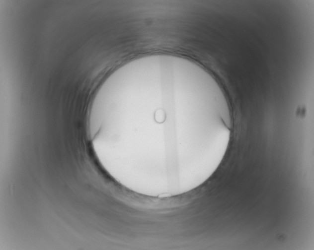X0000113220027200910221134