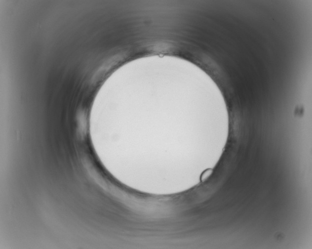 X0000113220028200910221134