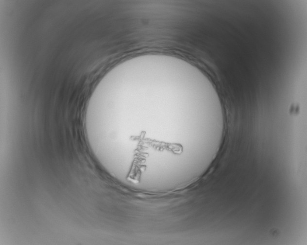 X0000113220029200910221134