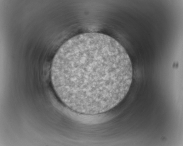 X0000113220030200910221134