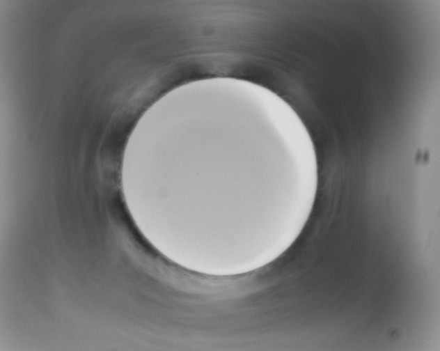 X0000113220031200910221134