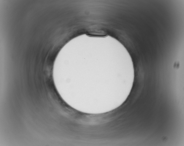 X0000113220033200910221134