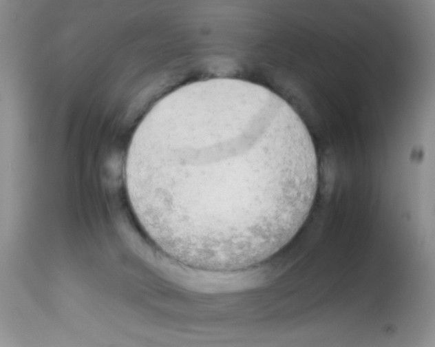 X0000113220034200910221134