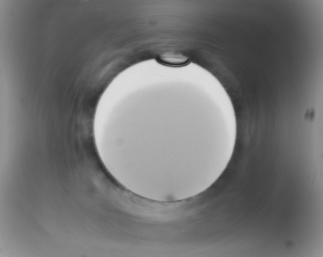 X0000113220035200910221134