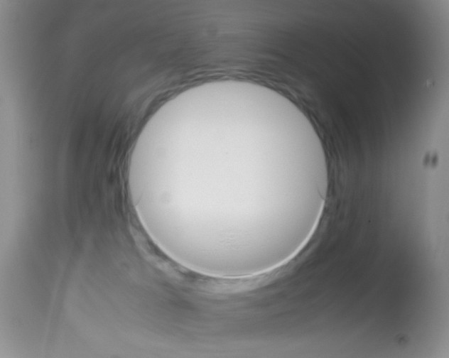 X0000113220037200910221134