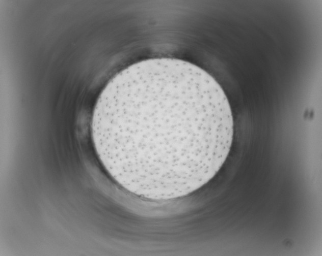 X0000113220038200910221134