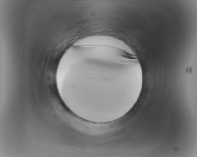 X0000113220039200910221134
