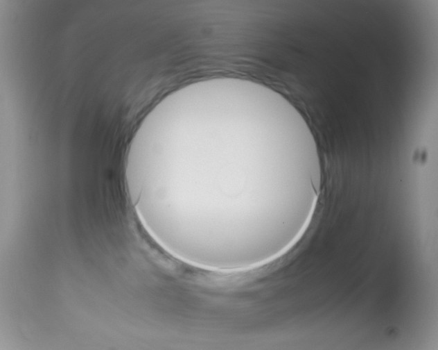 X0000113220041200910221134