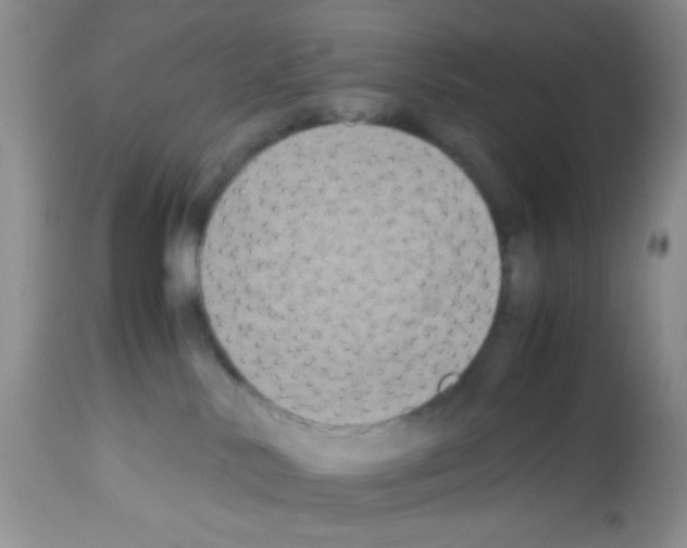 X0000113220042200910221134