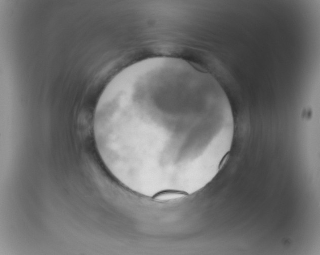 X0000113220043200910221134
