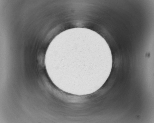 X0000113220044200910221134