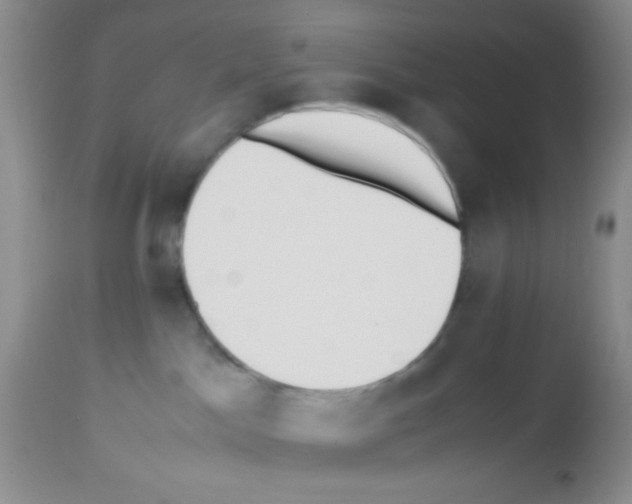 X0000113220045200910221134