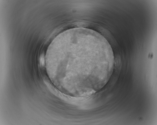 X0000113220046200910221134