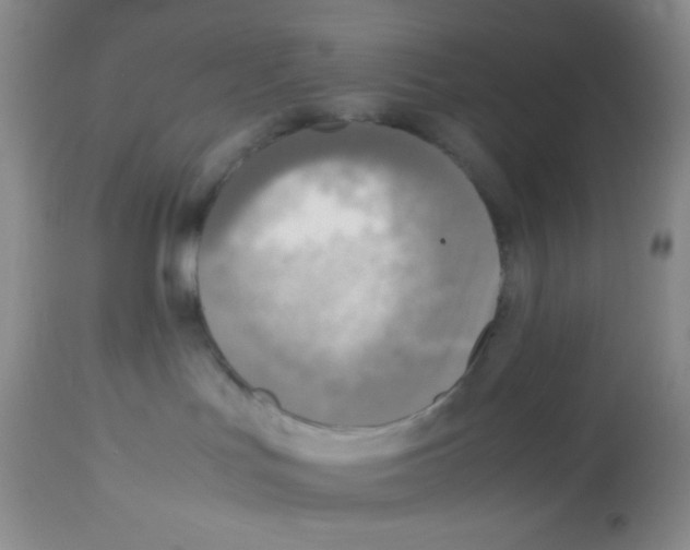 X0000113220047200910221134