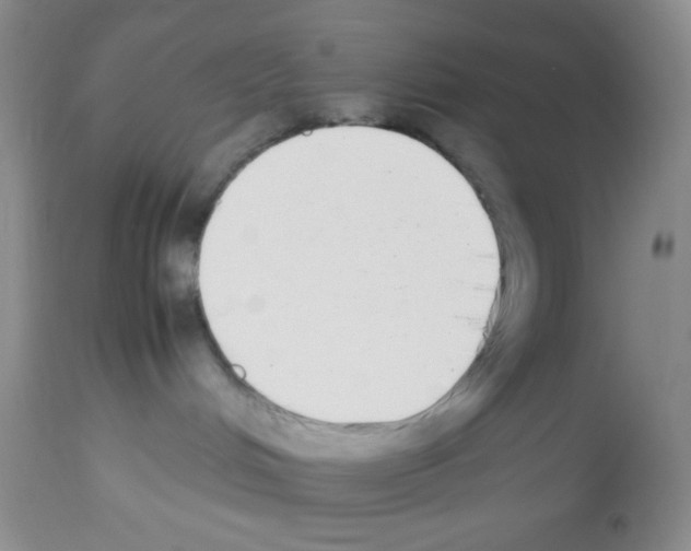 X0000113220048200910221134