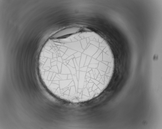 X0000113220049200910221133