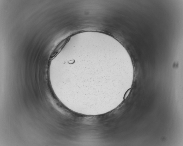 X0000113220050200910221133