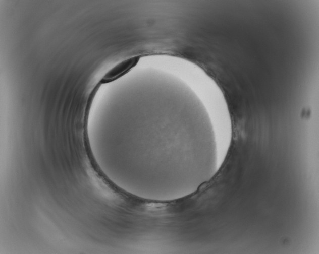 X0000113220052200910221133