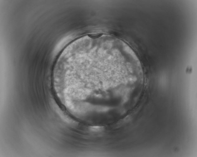 X0000113220053200910221133