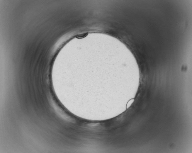 X0000113220054200910221133