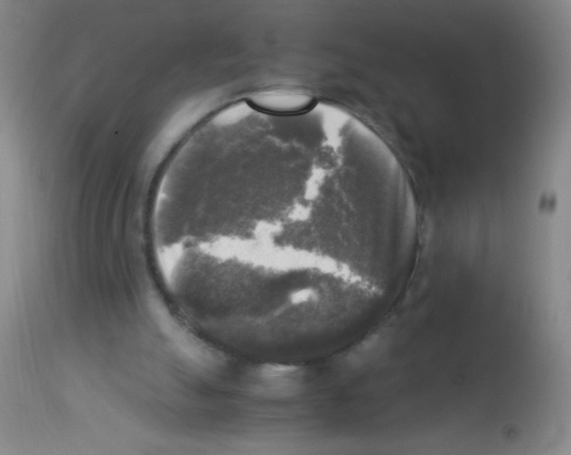 X0000113220055200910221133