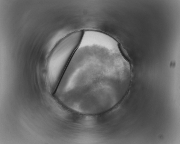 X0000113220056200910221133