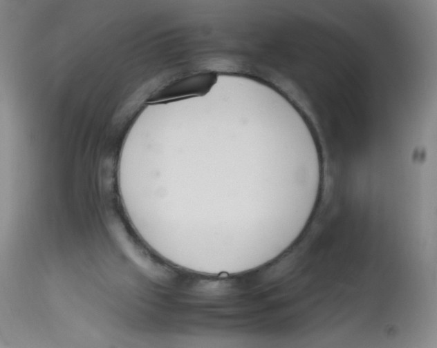 X0000113220057200910221133