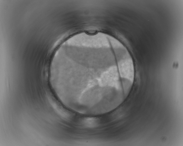 X0000113220059200910221133
